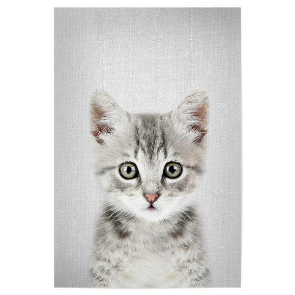Poster "Kitten - Colorful" artboxONE - Für Kinder,Tiere