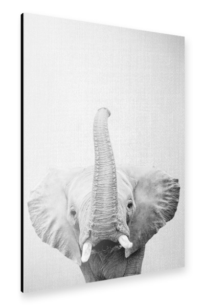 Alu-Dibond "Elephant - Black & White" 30x20 cm artboxONE
