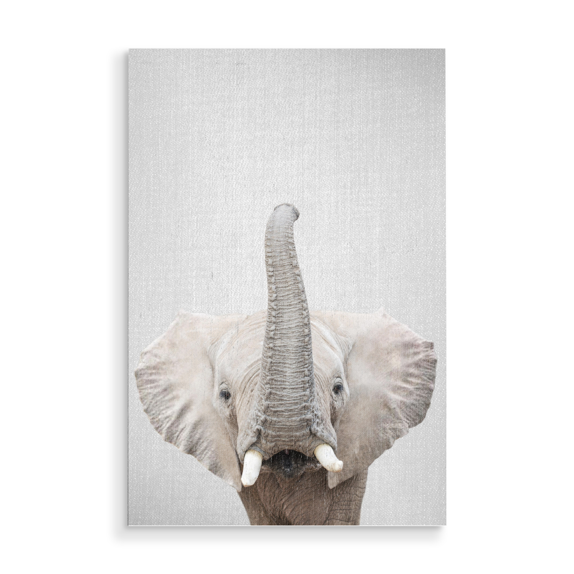 Holzbild "Elephant - Colorful" artboxONE - Für Kinder,Tiere