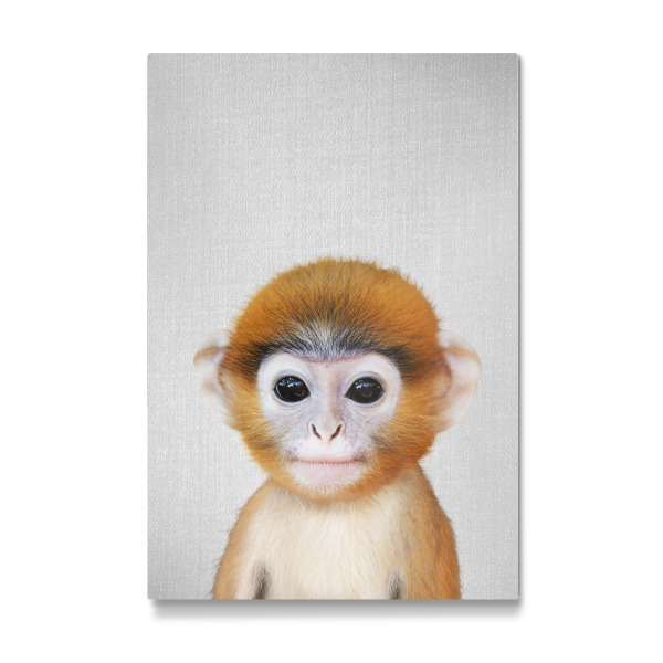 Galerie-Print "Baby Monkey - Colorful" 30x20 cm artboxONE