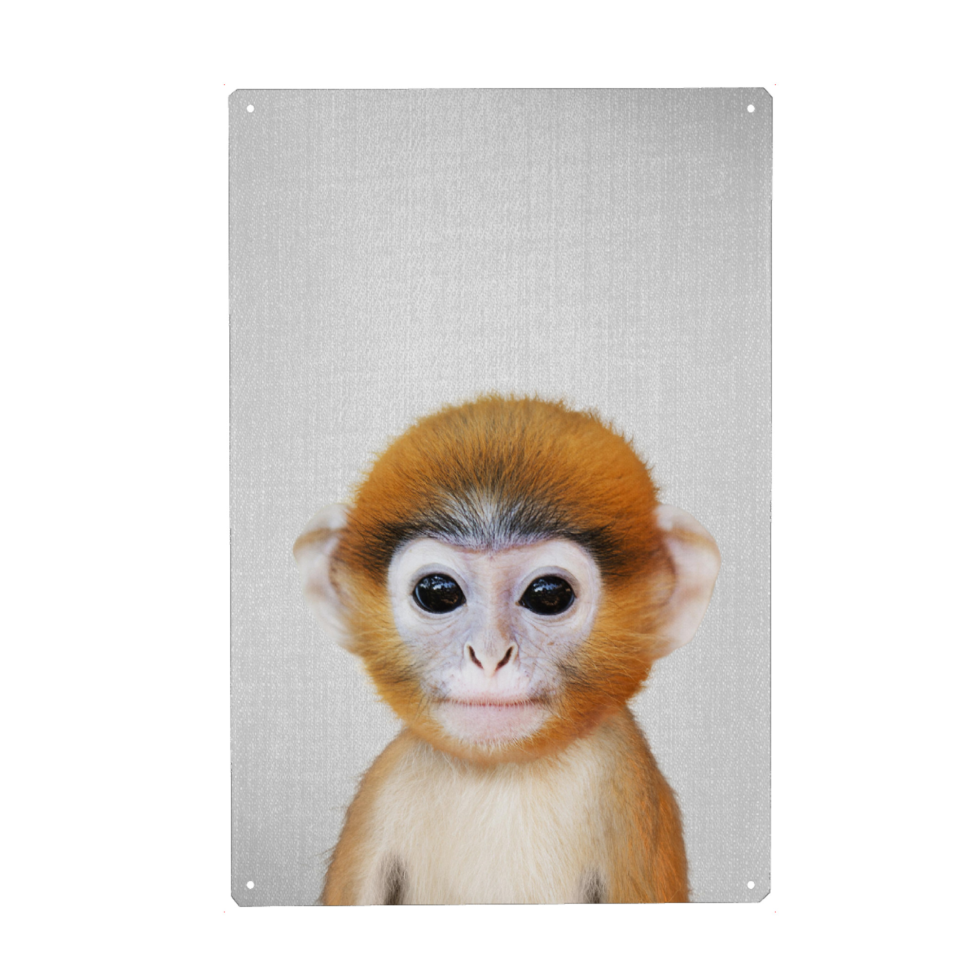 Metall Poster "Baby Monkey - Colorful" artboxONE - Für Kinder,Tiere