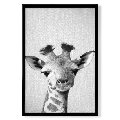 Baby Giraffe - Black & White
