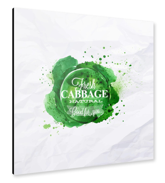 Alu-Dibond "Cabbage watercolor" 30x30 cm artboxONE