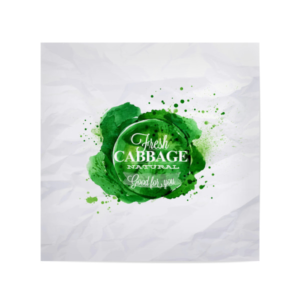 Poster 20x20 cm "Cabbage watercolor" artboxONE - Essen & Trinken / Obst & Gemüse