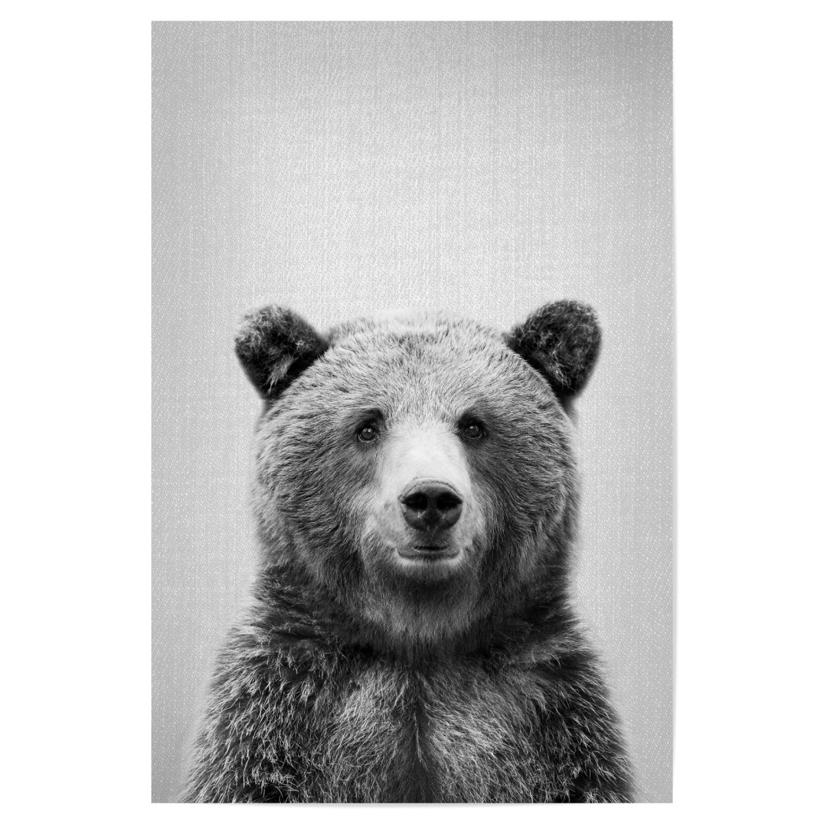 Grizzly Bear Black White Als Poster Bei Artboxone Kaufen