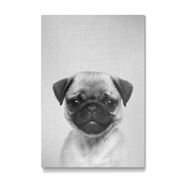 Galerie-Print "Pug Puppy - Black & White" 30x20 cm artboxONE