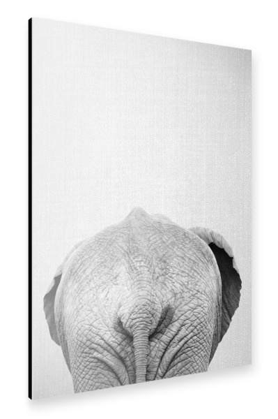 Alu-Dibond "Elephant Tail - Black & White" 30x20 cm artboxONE