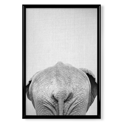 Elephant Tail - Black & White