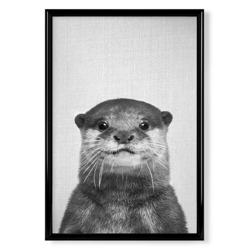 Otter - Black & White