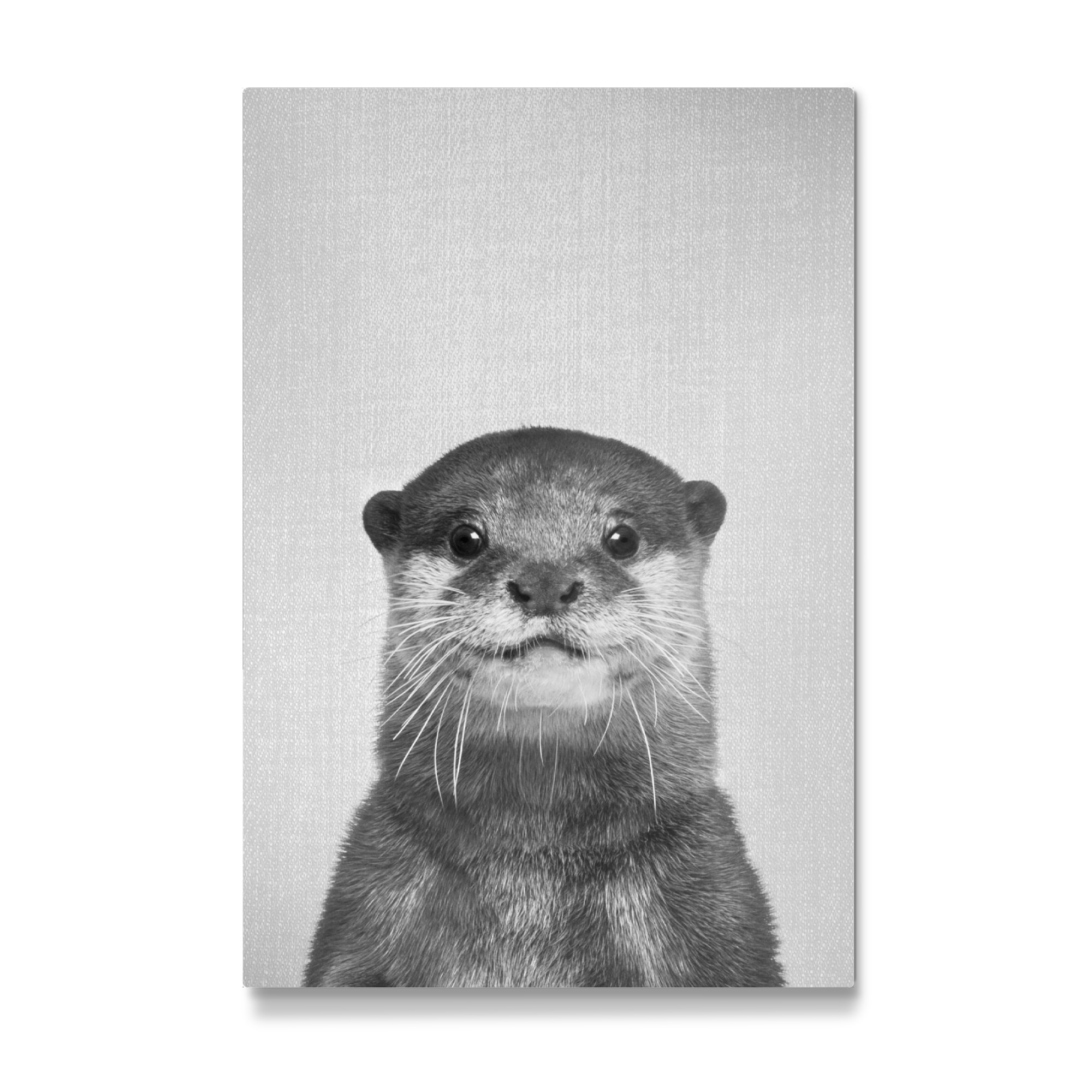 Galerie-Print "Otter - Black & White" 30x20 cm artboxONE