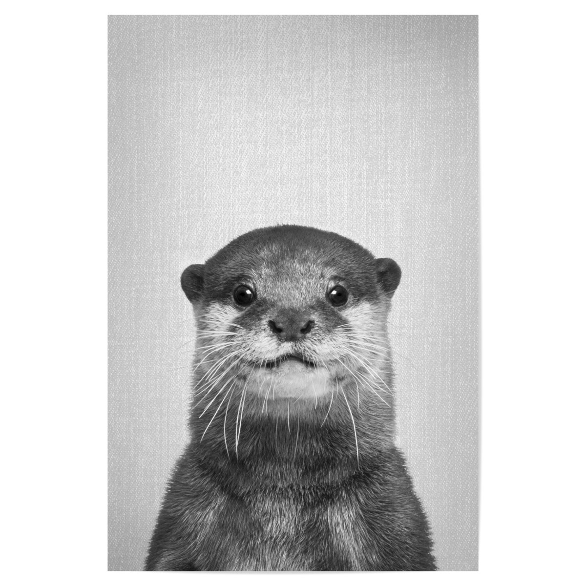 Otter Black & White als Poster bei artboxONE kaufen