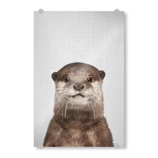 Otter - Colorful