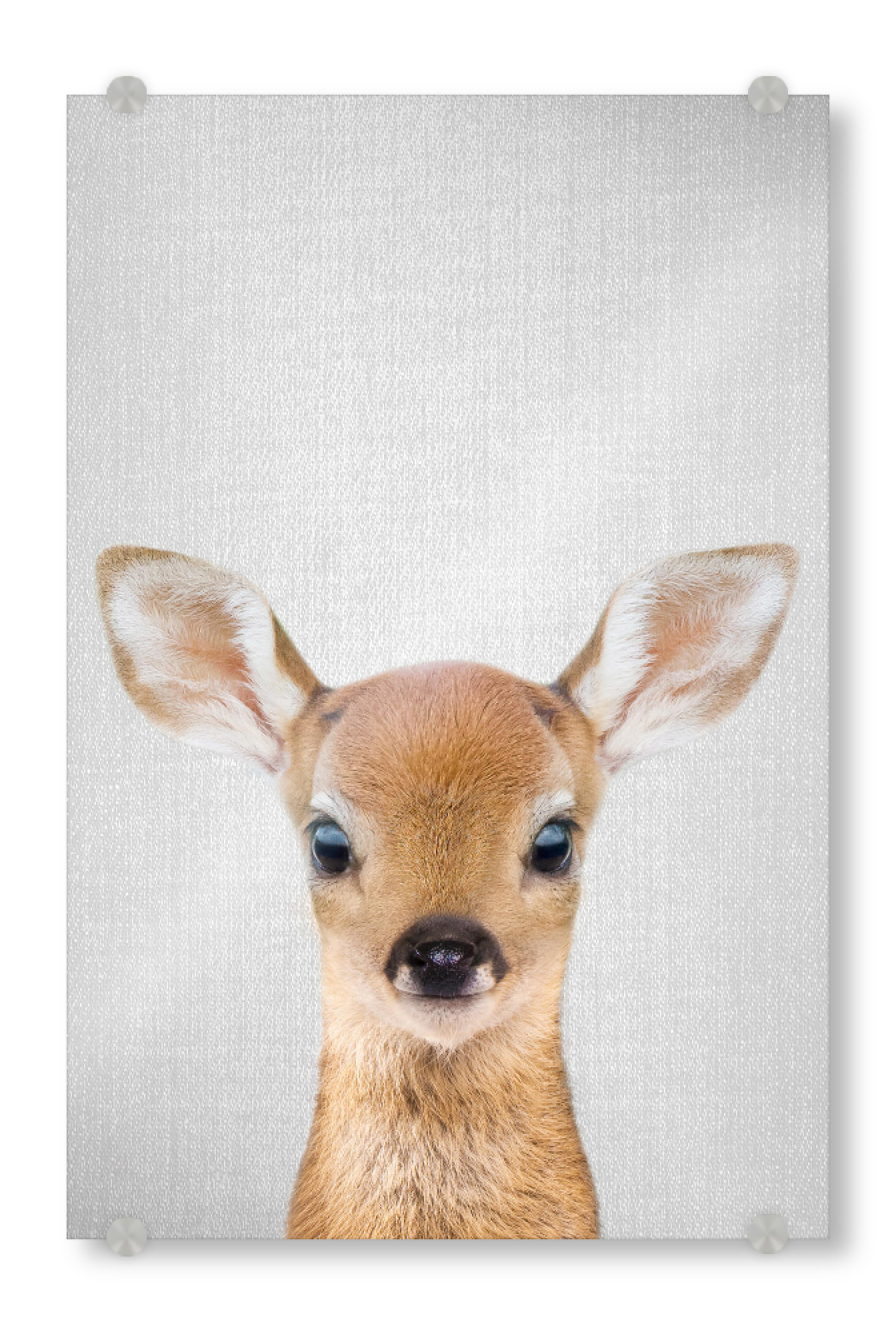 Acrylglasbild "Baby Deer - Colorful" artboxONE - Für Kinder,Tiere