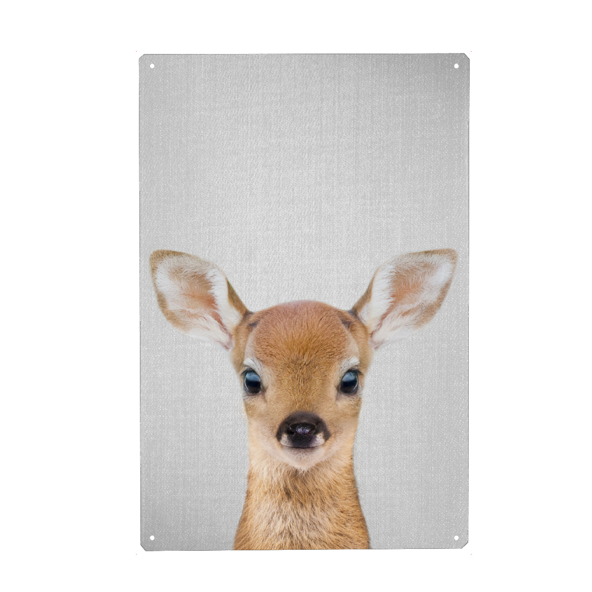 Metall Poster "Baby Deer - Colorful" artboxONE - Für Kinder,Tiere