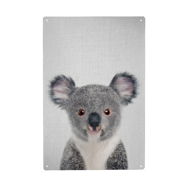 Metall Poster "Baby Koala - Colorful" artboxONE - Für Kinder,Tiere - Animal,Animals,Baby,Koala,Wild,Wildlife,Nursery,Australian,Forest,Woodlands,Bear