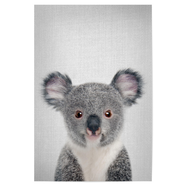 Poster 30x20 cm "Baby Koala - Colorful" artboxONE - Für Kinder,Tiere