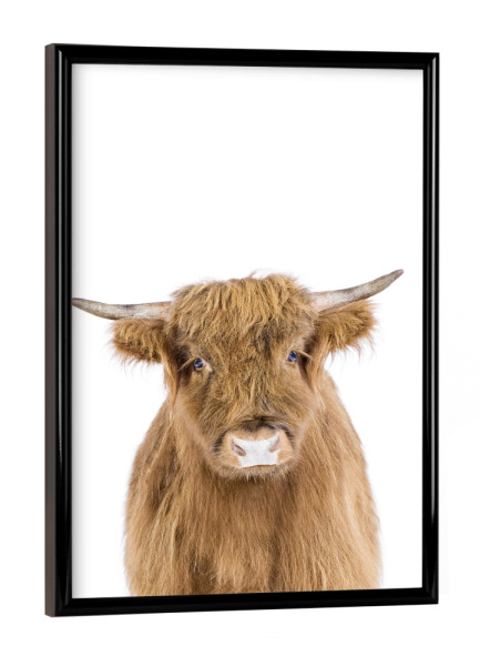 Poster mit schwarzem Rahmen "Highland Calf" artboxONE - Für Kinder,Tiere - Cow,Highland cow,Farm,Calf,Animals,Nursery,Children