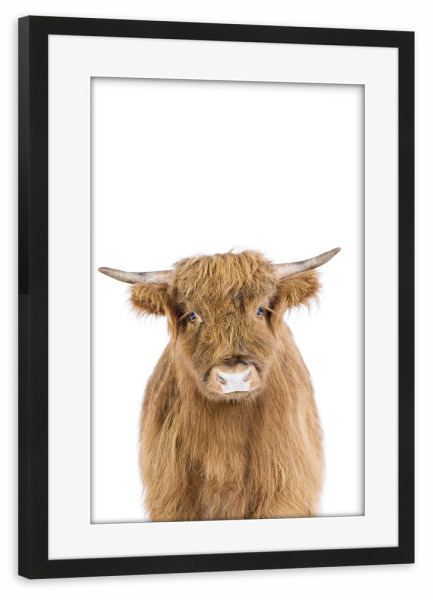 Poster mit Rahmen schwarz "Highland Calf" artboxONE - Für Kinder,Tiere - Cow,Highland cow,Farm,Calf,Animals,Nursery,Children
