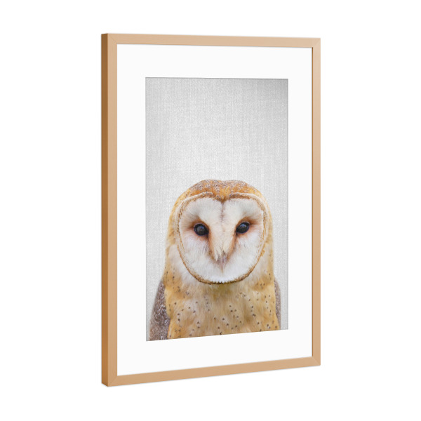 Poster mit Rahmen Kupfer "Owl - Colorful" artboxONE - Natur,Für Kinder,Tiere,Liebe,Für Mama,Für Papa,Lustig
