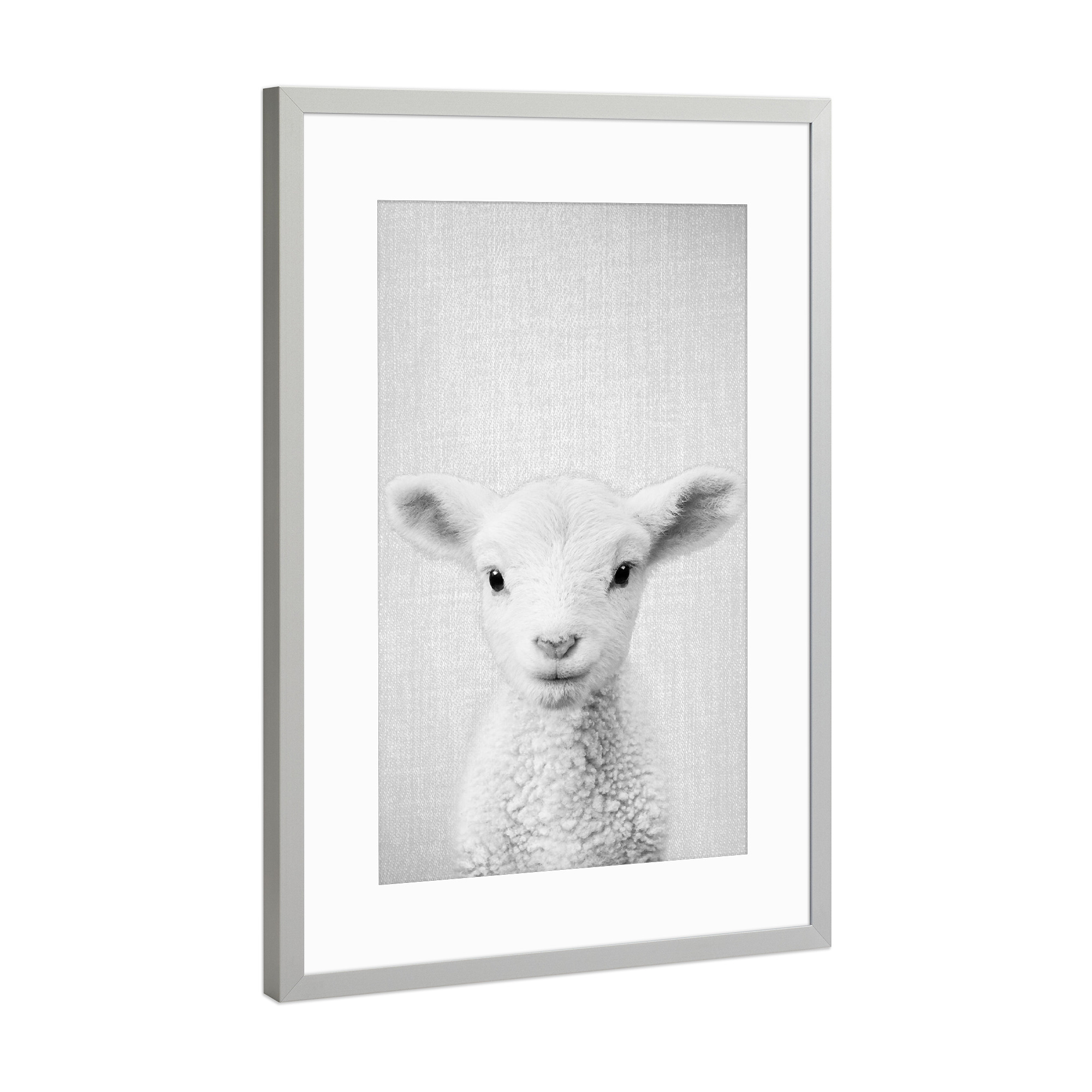 Poster mit Rahmen Silber "Lamb - Black & White" artboxONE - Tiere,Schwarzweiß