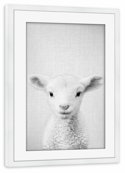 Poster mit Rahmen weiß "Lamb - Black & White" artboxONE - Tiere,Schwarzweiß