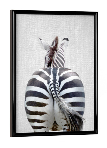 Poster mit schwarzem Rahmen "Zebra Tail - Colorful" artboxONE - Natur,Für Kinder,Tiere,Reise / Afrika