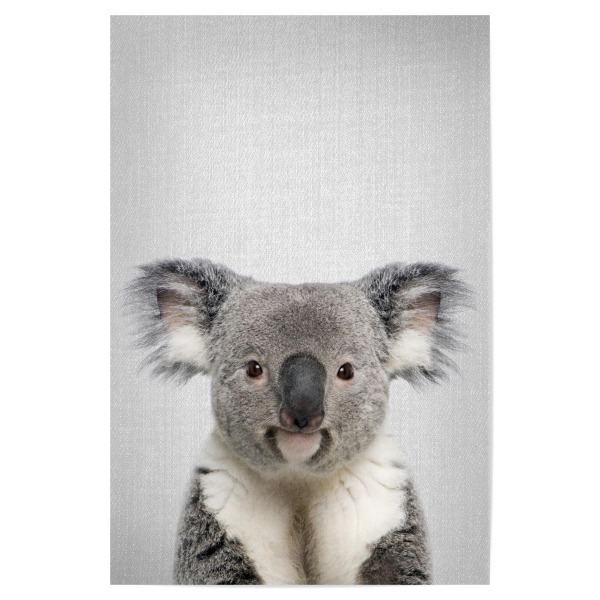 Poster "Koala - Colorful" artboxONE - Tiere
