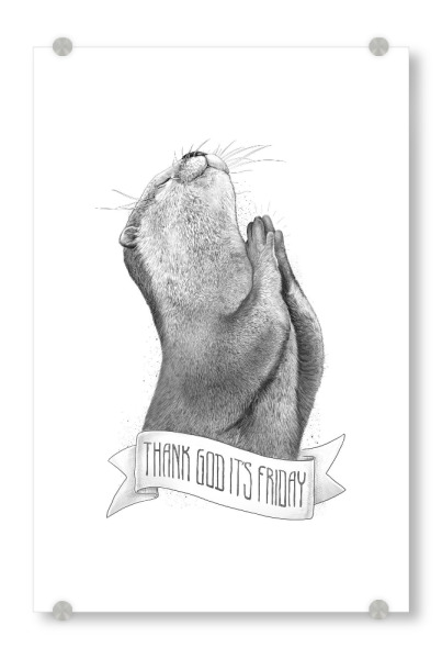 Acrylglasbild "Thank God It's Friday" artboxONE - Tiere