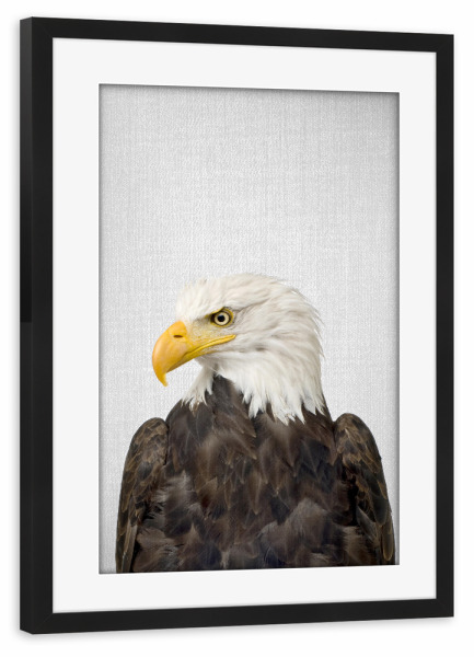 Poster mit Rahmen schwarz "Eagle - Colorful" artboxONE - Tiere