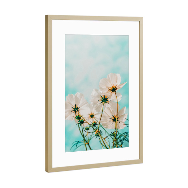 Poster mit Rahmen Gold "Fiona" artboxONE - Natur,Floral