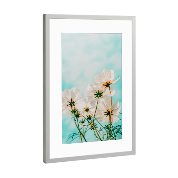 Poster mit Rahmen Silber "Fiona" artboxONE - Natur,Floral