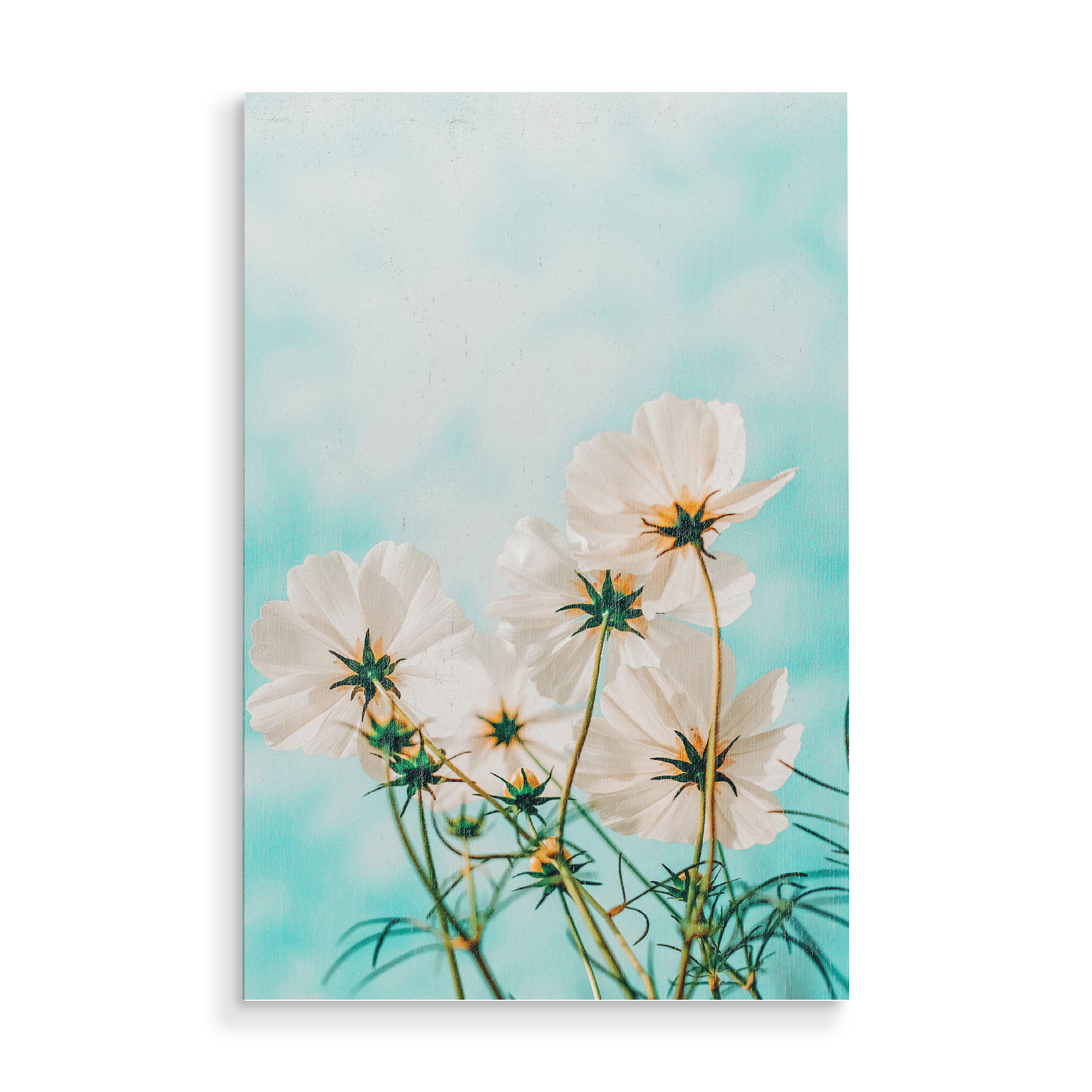 Holzbild "Fiona" artboxONE - Natur,Floral - Digital manipulation,Flowers,Meadow,Wildlife,Nature,Blush,Bloom,Blossom,Flourish,Garden,Wild flowers