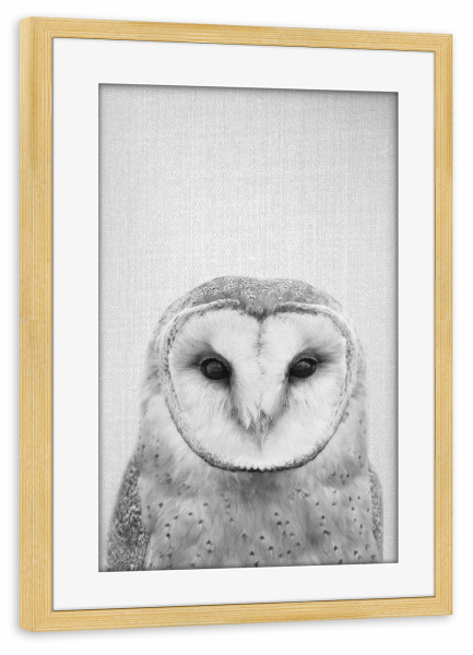 Poster mit Rahmen kiefer "Owl - Black & White" artboxONE - Tiere,Schwarzweiß