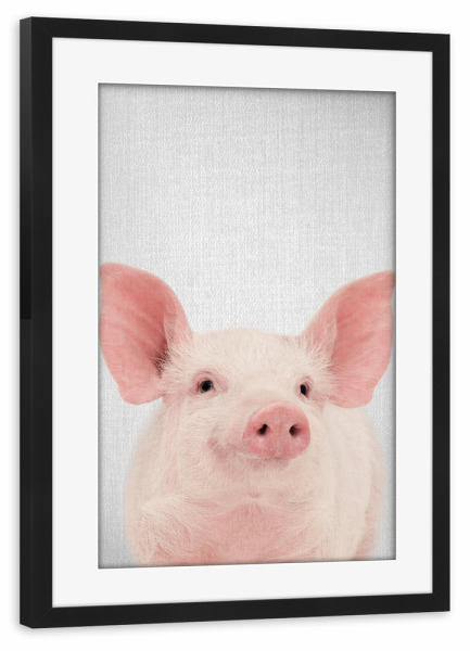 Poster mit Rahmen schwarz "Pig - Colorful" artboxONE - Für Kinder,Tiere