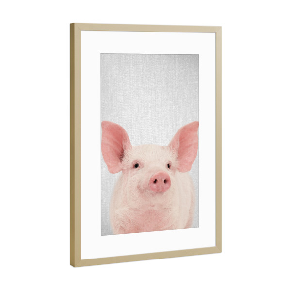 Poster mit Rahmen Gold "Pig - Colorful" artboxONE - Für Kinder,Tiere