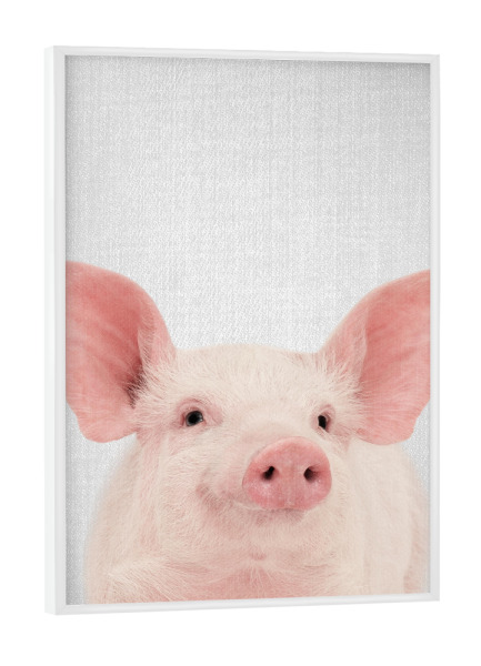 Poster mit weißem Rahmen "Pig - Colorful" artboxONE - Für Kinder,Tiere