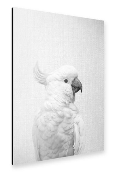 Alu-Dibond "White Cockatoo - Black & White" 30x20 cm artboxONE