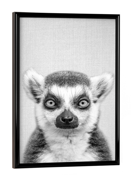 Poster mit schwarzem Rahmen "Lemur - Black & White" artboxONE - Tiere,Schwarzweiß