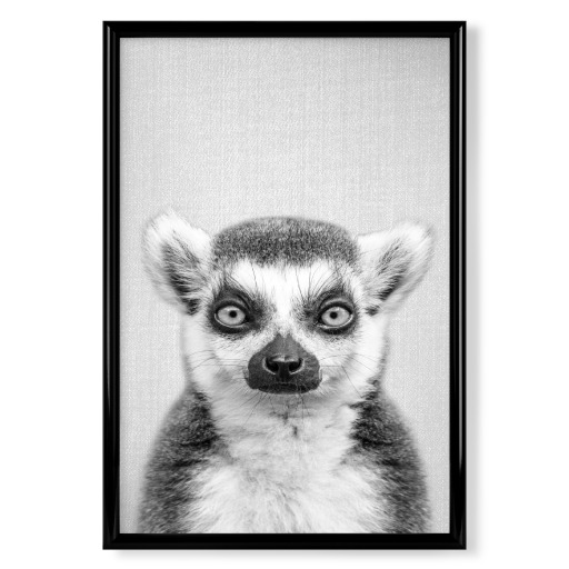 Lemur - Black & White