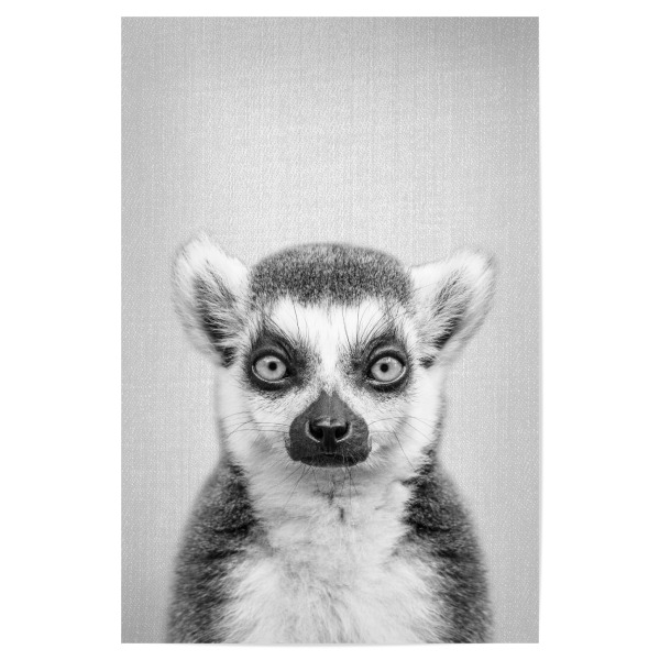 Poster "Lemur - Black & White" artboxONE - Tiere,Schwarzweiß