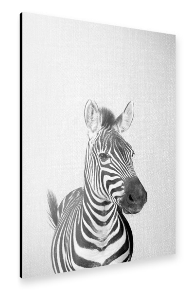 Alu-Dibond "Zebra - Black & White" 30x20 cm artboxONE
