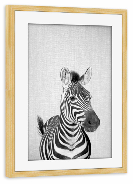 Poster mit Rahmen kiefer "Zebra - Black & White" artboxONE - Tiere,Schwarzweiß