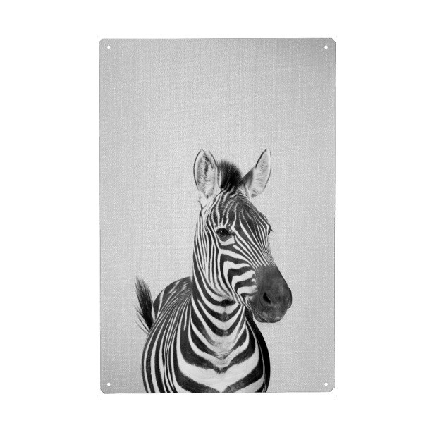 Metall Poster "Zebra - Black & White" artboxONE - Tiere,Schwarzweiß