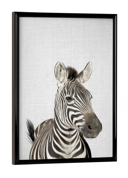 Poster mit schwarzem Rahmen "Zebra - Colorful" artboxONE - Tiere