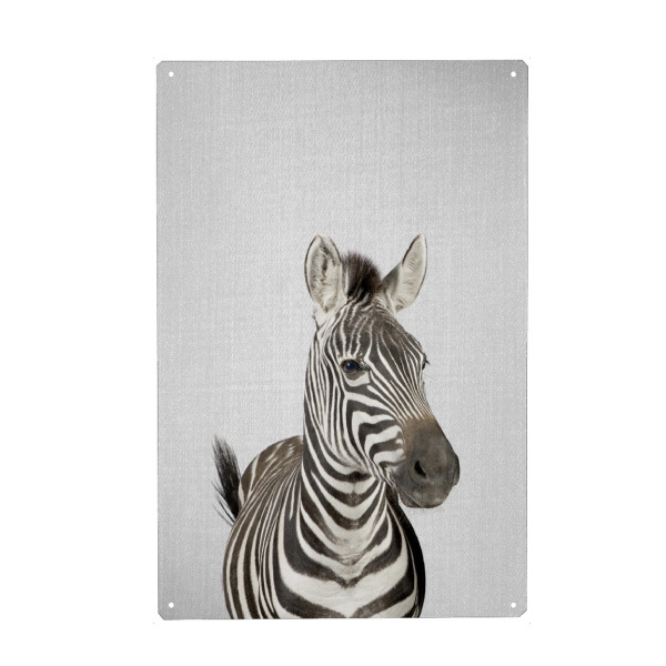 Holzbild "Zebra - Colorful" artboxONE - Tiere