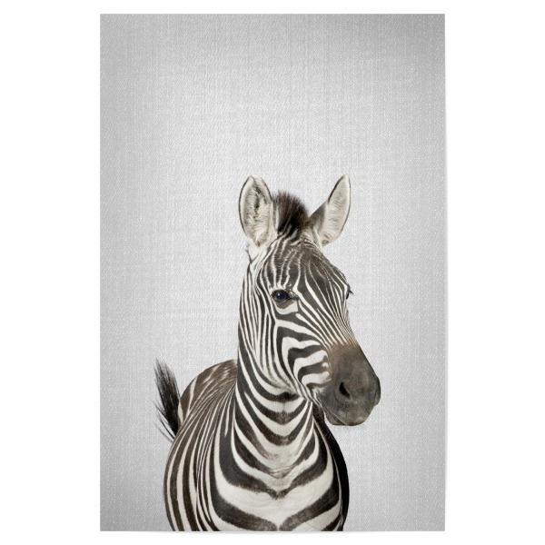 Poster 30x20 cm "Zebra - Colorful" artboxONE - Tiere