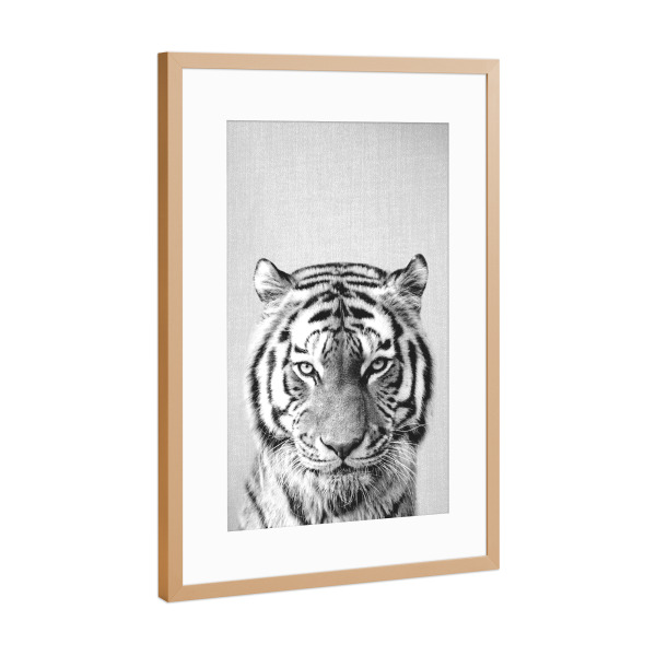 Poster mit Rahmen Kupfer "Tiger - Black & White" artboxONE - Tiere,Schwarzweiß