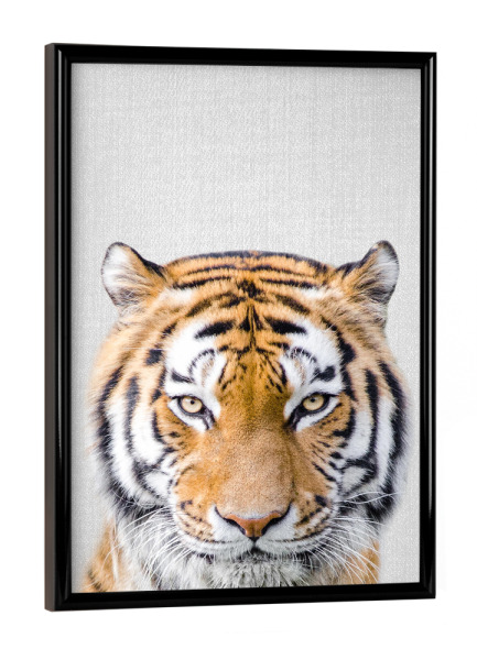 Poster mit schwarzem Rahmen "Tiger - Colorful" artboxONE - Tiere