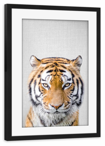 Poster mit Rahmen schwarz "Tiger - Colorful" artboxONE - Tiere
