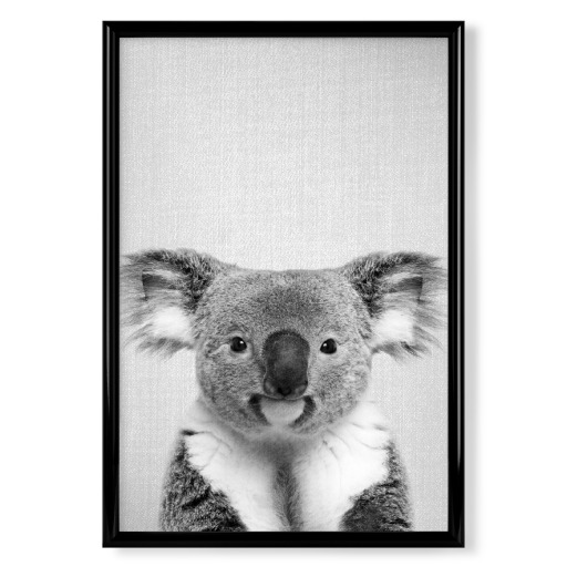 Koala - Black & White